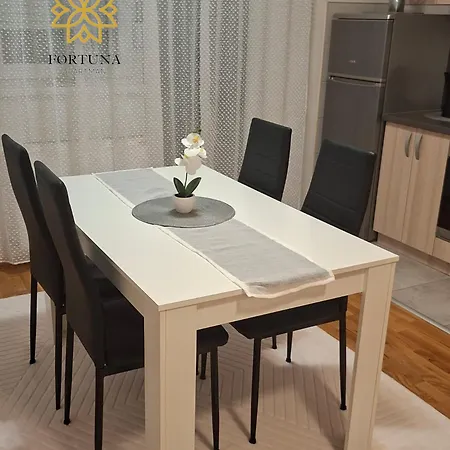 Fortuna Centar Požarevac